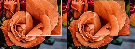 ����ɭ�ٴγ���(d��o)��ȫ���������h(hu��n)����Ʒ�|(zh��)�����g(sh��)������(w��)���̄�(w��)�����(hu��)؟(z��)�ι��˴��@ʾ��(bi��o)��(zh��n)���S�o(h��)�ИI(y��)���԰l(f��)չ