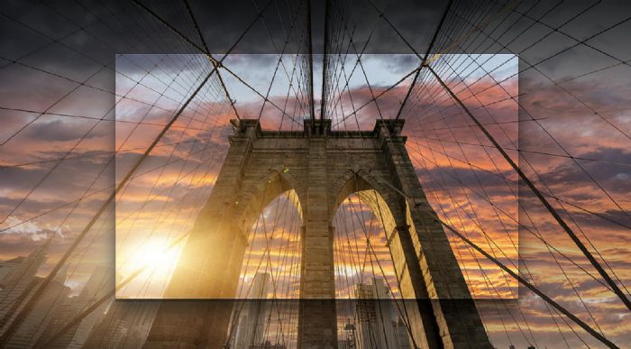 ��(chu��ng)�����������������؃�(y��u)�ݱM�@������The Wall�يZ�A�@֪��Ʒ�ƪ�