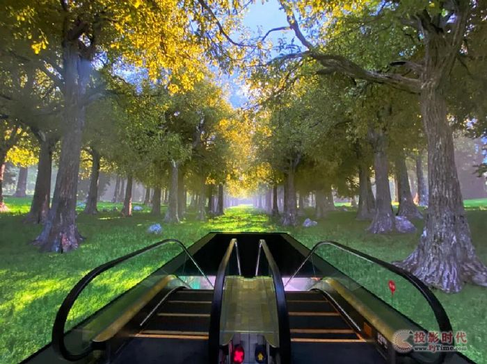 ����ɭ�y���A�飬��(g��u)����(sh��)�ֽ�(j��ng)��(j��)�����B(t��i)