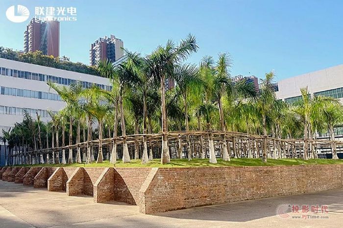 ���(y��ng)���� ��������ح(li��n)������������Mֹ��ʮ�ꡱ��ľ