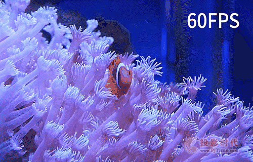 ���R�� | �������������ҕ�l�ɼ�����