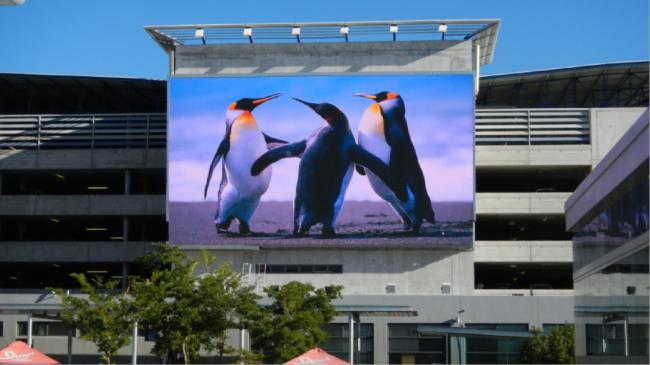 ׌����`��������������ɭȫ��C�����ð������\