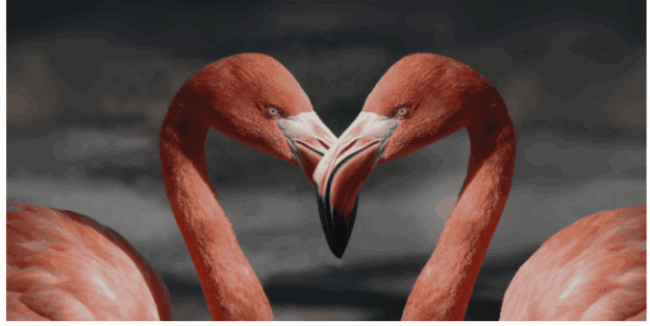 ���x���� | ҕ�\Q2 ����С�g��ʬF(xi��n)��Ļ֮��