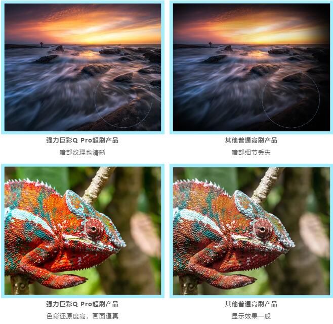 W(wng)j(lu)ֱx(qing)޲Q Pro