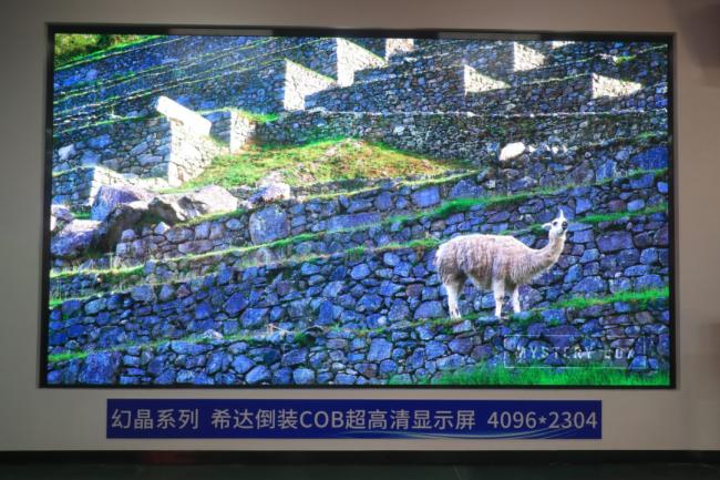 (chung)•ۄ•A|2022ϣ_(d)ȫbCOB(chung)®a(chn)Ʒƽ鼰ɹ_