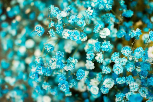 ��˼ȫ���VLED�a�ⷽ����������900�O�M���ǻ������|��Ч