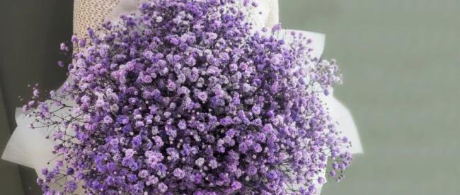 ��˼ȫ���VLED�a�ⷽ����������900�O�M���ǻ������|��Ч