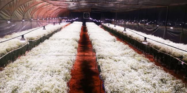 ��˼ȫ���VLED�a�ⷽ����������900�O�M���ǻ������|��Ч