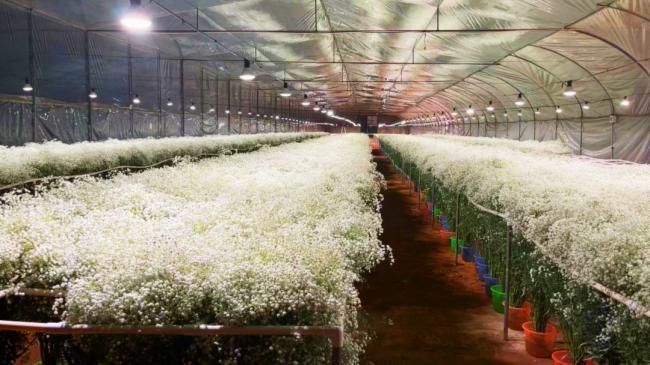 ��˼ȫ���VLED�a�ⷽ����������900�O�M���ǻ������|��Ч