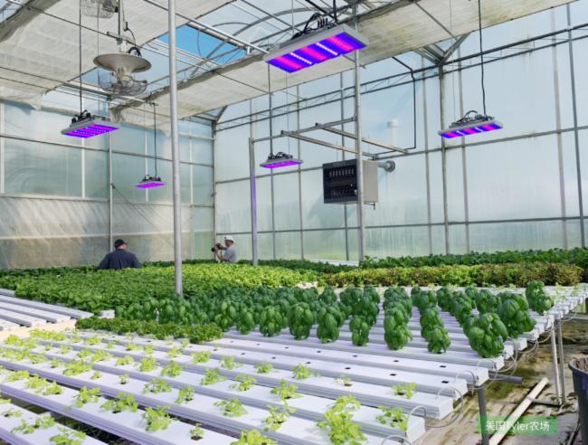 ��˼ȫ���VLED�a�ⷽ����������900�O�M���ǻ������|��Ч