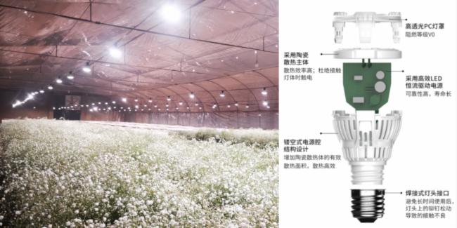 ��˼ȫ���VLED�a�ⷽ����������900�O�M���ǻ������|��Ч