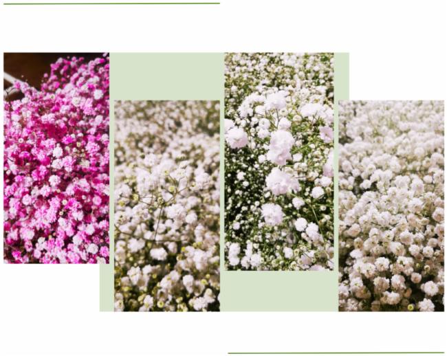 ��˼ȫ���VLED�a�ⷽ����������900�O�M���ǻ������|��Ч