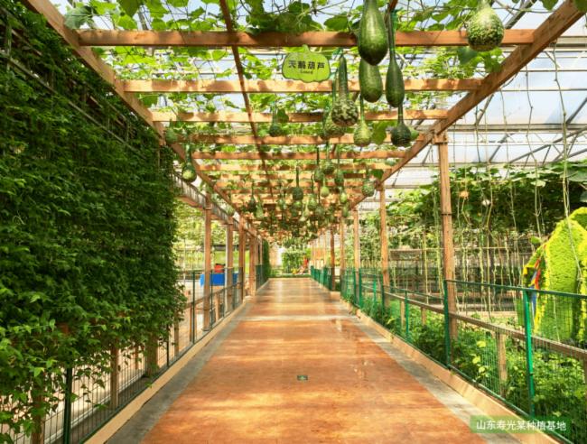 ��˼ȫ���VLED�a�ⷽ����������900�O�M���ǻ������|��Ч