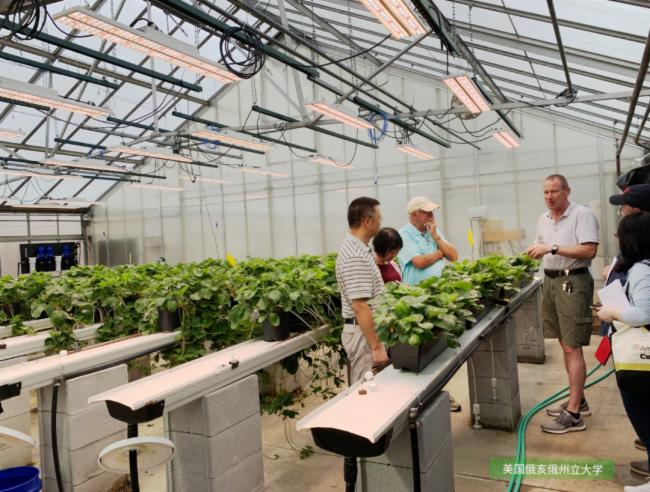 ��˼ȫ���VLED�a�ⷽ����������900�O�M���ǻ������|��Ч