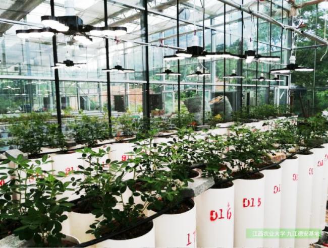 ��˼ȫ���VLED�a�ⷽ����������900�O�M���ǻ������|��Ч