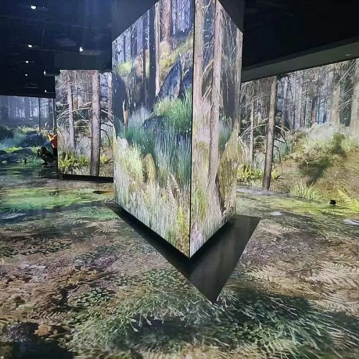 SEEMILE視美樂 | 探索鳥類王國(guó),看創(chuàng)意光影下的飛羽之美