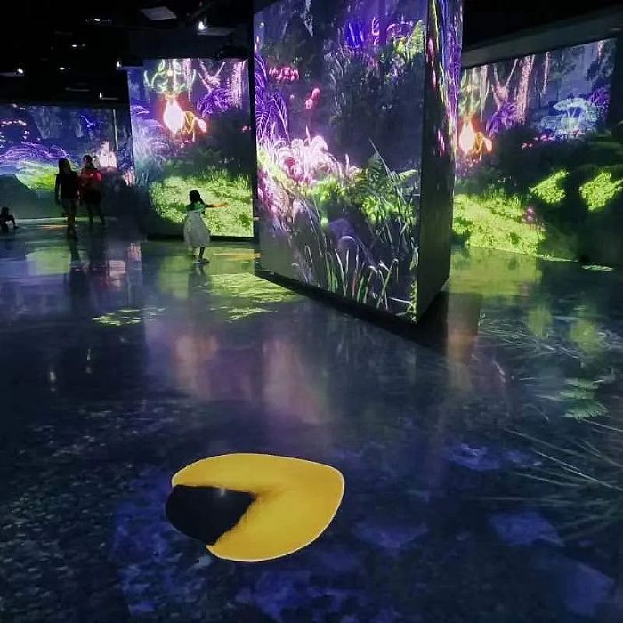 SEEMILE視美樂 | 探索鳥類王國(guó),看創(chuàng)意光影下的飛羽之美