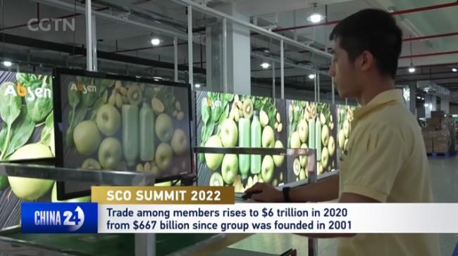 ���Ϻϕr(sh��)�g���_(k��i)��������ɭ�ٵ���ҕ��չʾ�Ϻϡ�����Ȧ��