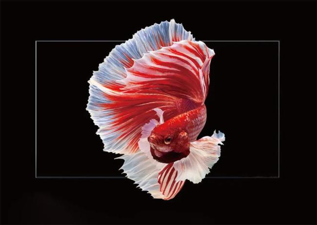 AET����̩΢�g��NX���N����������