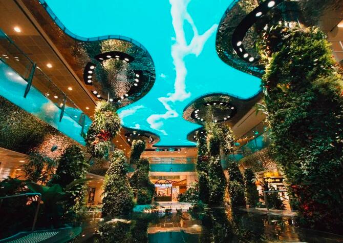 ��K��݋ح����ɭ2023���ʮ��(j��ng)�䰸���P�c(di��n)