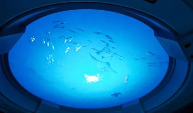 �b�p | �������Tչ2023ʮ�󽛵䰸��