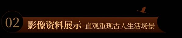 幤ͶӰV^vʮfvʷ׃w