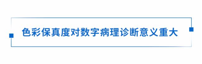 ƤحxɫڬF(xin)W(xu)еđ(yng)
