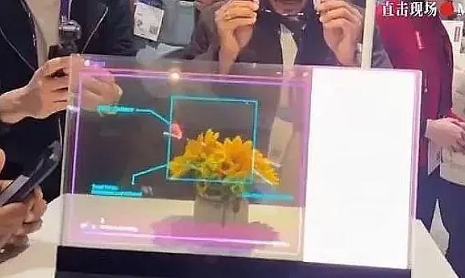 2024Mini/Micro LED ügڅݿYڴc(chung)¹
