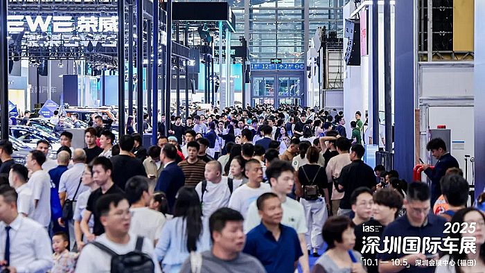 2025���ڇ��H܇չ���F(xi��n)��IP���֮�������������Ȥ����