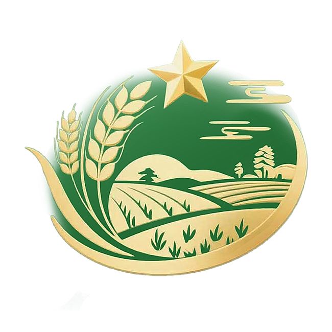 ��ůϦ����ǡ��ݡ����ϣ���(y��u)�|(zh��)�F��L�ɹ��e�k�ջ������t(y��)���a�N���µ�ӛ�������