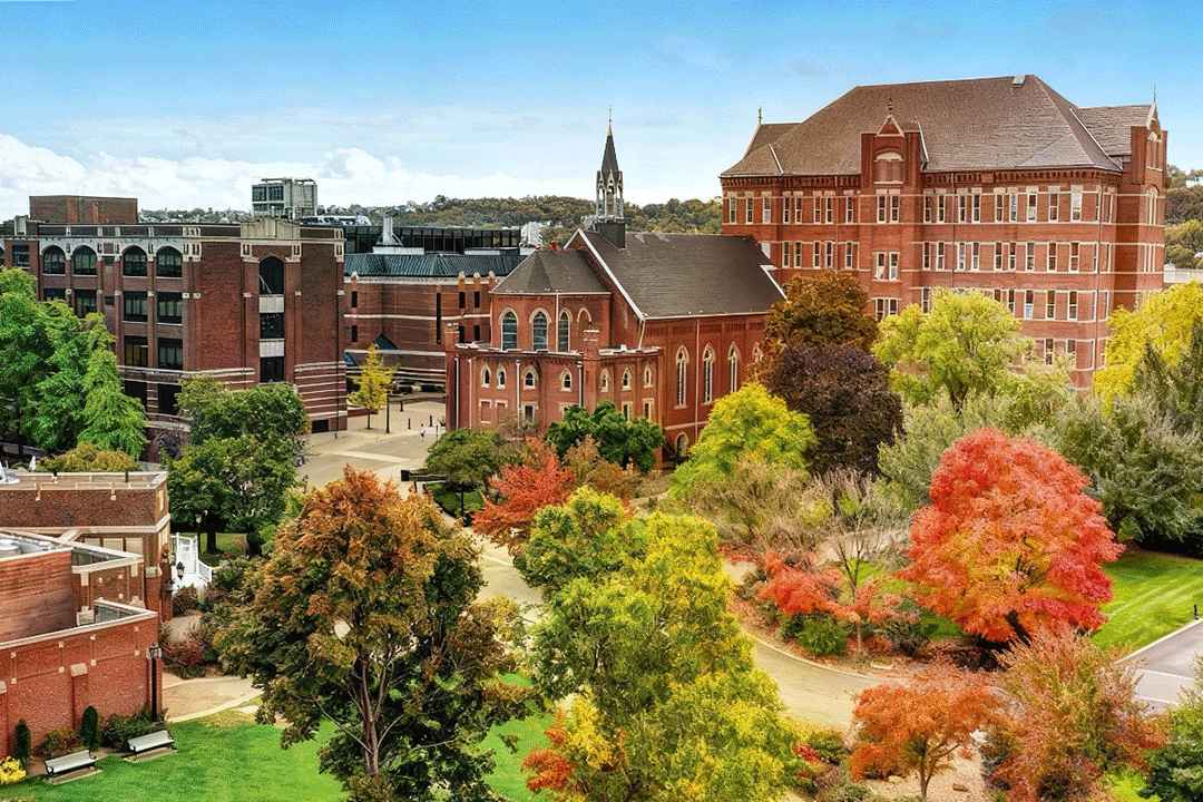 ����У�@�ġ���̼���D(zhu��n)������(d��ng)�w�������īˮ������ſϴ�W(xu��)