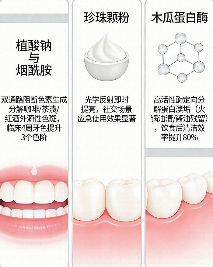 ��(sh��)�y(c��)2026���S��������ʲô���������������ȥ�S��������P�c(di��n)�����S�����������]����e�B�����S