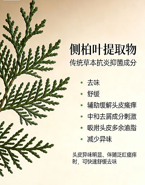 ��(sh��)�y2026������ȥм���l(f��)����ʲô���Ӻã������澏��мϴ�l(f��)ˮ�P�c(di��n)���g�l(f��)ϴ�l(f��)ˮ���]����e������l(f��)