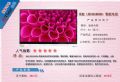 L LED43A9000i